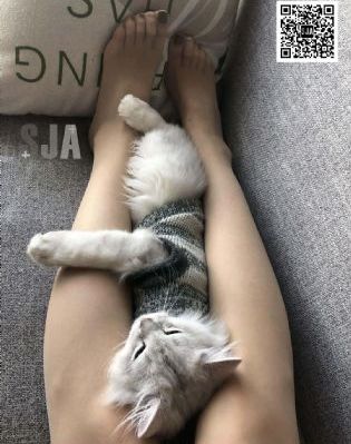 性动漫在线观看_BT种子下载