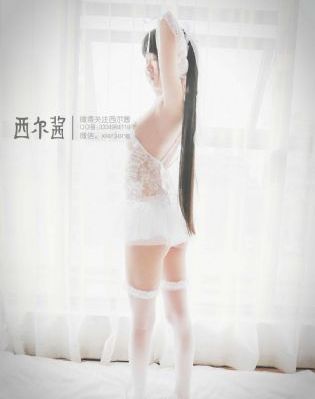 肥猫寻亲记_BD免费播放