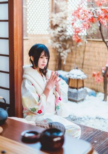 潜伏1-40集免费完整版_DVD全集免费观看